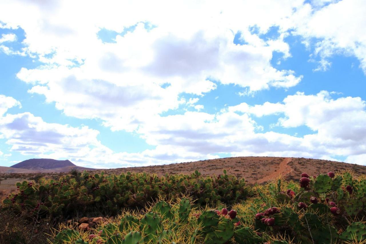 Montana Valles De Ortega - A Exterior foto
